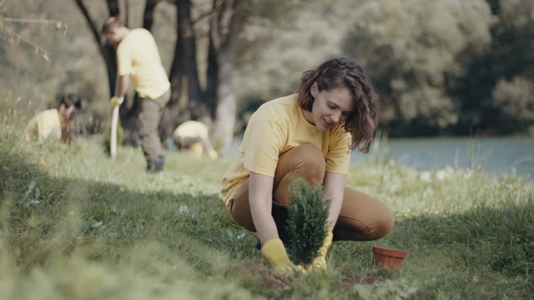 Lawn Irrigation Installation and Maintenance in Marshall, TX
