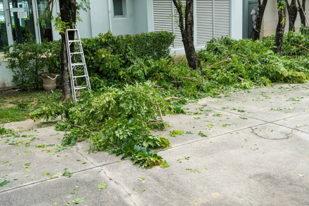 Best Commercial Tree Services  in Marshall, TX