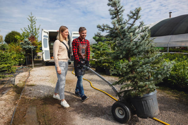 Best Tree and Shrub Care  in Marshall, TX